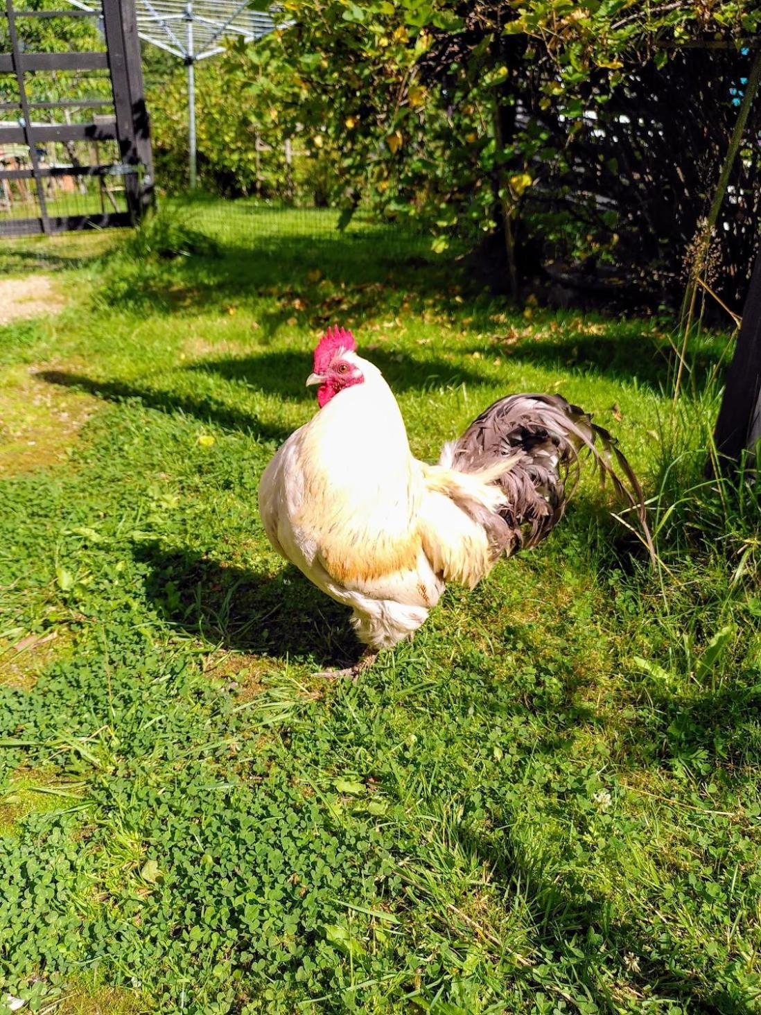 Laegenhet Naturnaera I Henån Dış mekan fotoğraf